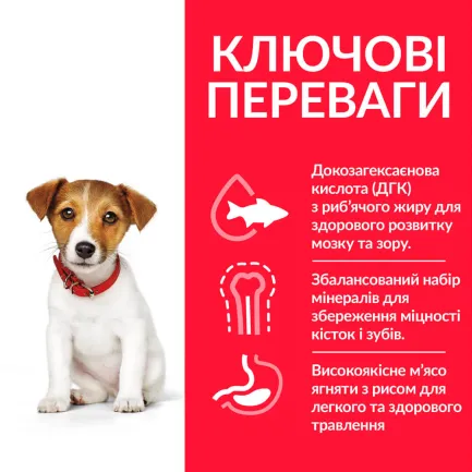 Hill’s Science Plan Puppy Smal&amp;Mini Сухий корм для цуценят малих і мініатюрних порід, з куркою, 6 кг — Фото 2