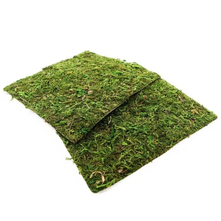 Фон моховий Repti-Zoo Natural Moss Back &amp; Bottom 20x20см 2шт. (NCM2020) — Фото 4