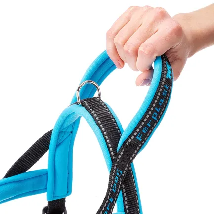 Ferplast SPORT DOG P XS BLUE Шлея, нейлон — Фото 5