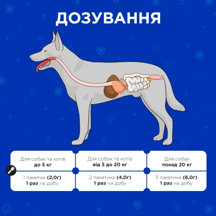 Комбіфлор пробіотик (Kombiflor Probiotic) порошок для підтримки балансу мікрофлори кишечника собак та котів MODES — Фото 3