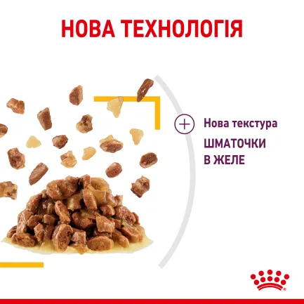 Вологий корм Royal Canin SENSORY TASTE JELLY для котів всіх порід 85 г — Фото 1