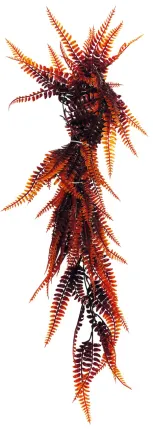 REPTO PLANT VINES ORANGE FERN 60 CM (R5100685) Штучна рослина для тераріума — Фото 1