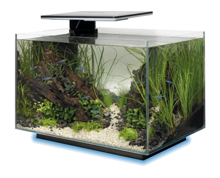 Акваріум скляний - Superfish Quadro 40 Multi Colour BLACK (A4052215) — Фото 2