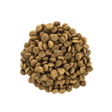 Сухий корм Brit Care Cat GF Large Power &amp; Vitality для котів великих порід, качка та курка, 2 кг — Фото 1