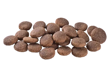 Сухий корм Brit Care Dog Grain-free Adult Large Breed для собак великих порід, беззерновий з лососем, 12 кг — Фото 1