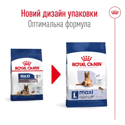 Сухий корм Royal Canin MAXI AGEING 8+ для собак зрілого віку великих порід 15 кг — Фото 1