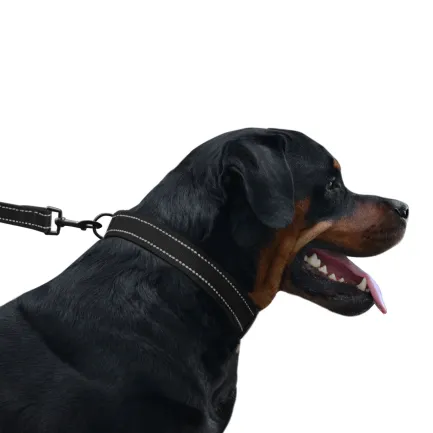 Нашийник для Собак BronzeDog Active Нейлоновий зі Світловідбиттям та Пластиковою Пряжкою Чорний M — Фото 6