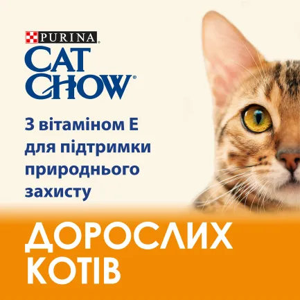 Сухий корм CAT CHOW Adult для дорослих котів з качкою 15 кг — Фото 5