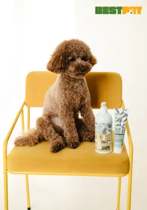 Tauro Pro Line Pure Nature Delicate Puppy &amp; Kitten Shampoo М'який шампунь для цуценят і кошенят, 400 мл — Фото 1