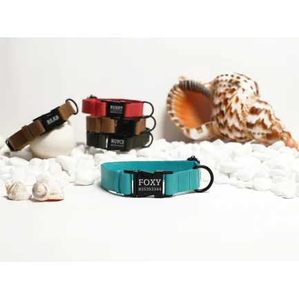 Нашийник для собак BronzeDog Crazy шкіряний плоский фастекс Ментол M — Фото 1
