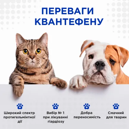 Квантефен (Kvantefen) антигельмінтні таблетки для собак та котів 1 таб на 10кг (4 табл.), MODES — Фото 3