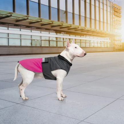Попона Pet Fashion «Roy» для собак, розмір 6XL, малиново-сірий — Фото 6