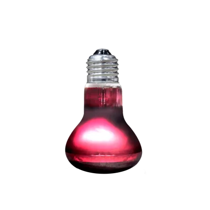 ARCADIA INFRARED BASKING SPOT 75 WATT (R2100175) інфрачервона лампа для рептилій — Фото 1