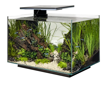 Акваріумний набір SuperFish Quadro 70 Pro Black (A4052225) — Фото 2
