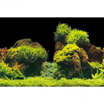 Акваріумний задній фон Aqua Nova Скелі/Рослини 100x50см (ROCK/PLANTS L) — Фото 2