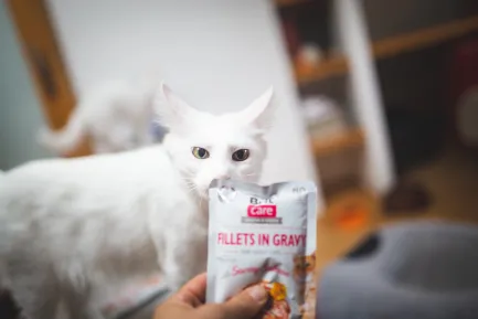 Вологий корм Brit Care Cat Pouch для котів, філе в соусі, пікантний лосось, 85 г — Фото 2