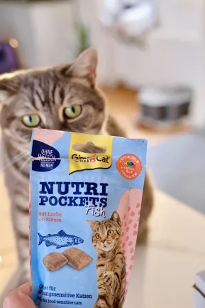 Ласощі для котів GimCat Nutri Pockets Fish Лосось 60 г — Фото 5