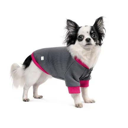 Толстовка Pet Fashion «Bim» для собак, розмір XS, сіра — Фото 1