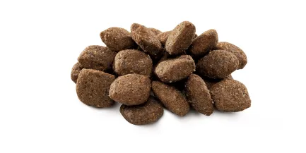 Сухий корм Brit Premium Dog Sensitive Lamb для собак з чутливим травленням, з ягням, 3 кг — Фото 1