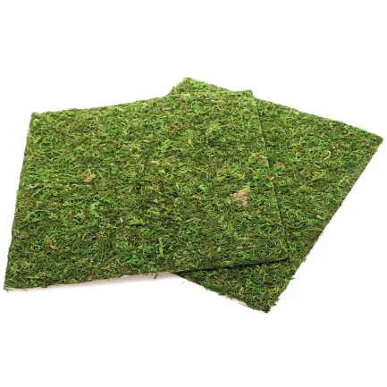 Фон моховий Repti-Zoo Natural Moss Back &amp; Bottom 30x30см 2шт. (NCM3030) — Фото 2