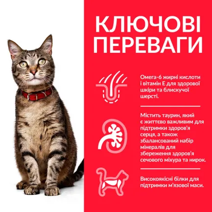 Hill's Science Plan Adult Сухий корм для дорослих котів, з куркою, 15 кг — Фото 2