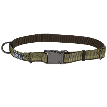 Coastal K9 Explorer Collar КОСТАЛ К9 ЕКСПЛОРЕР світловідбивний нашийник для собак, 2.5х46-66см Папороть