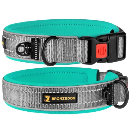 Нашийник для Собак BronzeDog Sport Сіро - Бірюзовий M