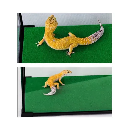 Килимок-субстрат Repti-Zoo Carpet Mat 60x45см (EC02) — Фото 5
