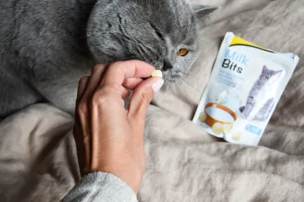 Вітамінізовані ласощі для котів GimCat MilkBits з молоком, 40 г — Фото 1