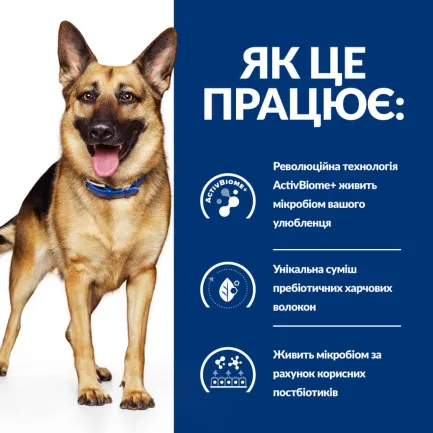 Hill’s Prescription Diet Gastrointestinal Biome Сухий корм для собак при захворюваннях шлунково-кишкового тракту, з куркою, 10 кг — Фото 3