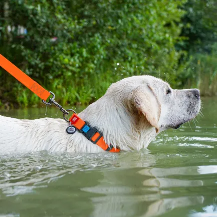 Нашийник для собак водостійкий WAUDOG Waterproof c QR паспортом, пластикова пряжка-фастекс, Ш 25 мм, Дов 38-58 см, помаранчевий — Фото 1