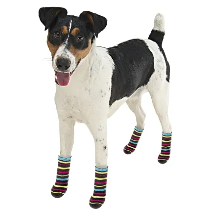 Ferplast PET SOCKS ANTISLIP LARGE (x4) Захисне взуття для собак — Фото 1