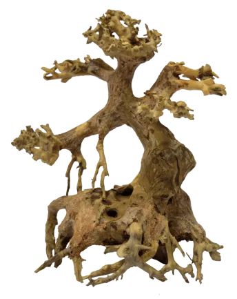 Дерево бонсай BONSAI DRIFTWOOD XS (A4080095)