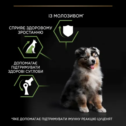 Сухий корм PRO PLAN Medium Puppy <1 Healthy Start для цуценят середніх порід з куркою 12 кг — Фото 5