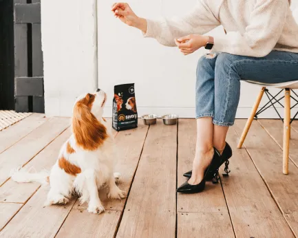 Сухий корм Savory Puppy для цуценят усіх порід, зі свіжою індичкою і куркою, 3 кг — Фото 4