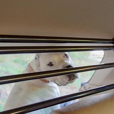 Ferplast DOG CAR SECURITY Автомобільні захисні грати для собак — Фото 4