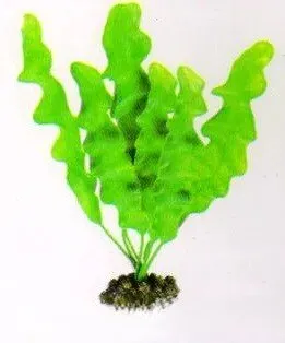 Aquatic Plants (Акватик Плэнтс) Акваріумна рослина, 25 см х 8 шт/уп.