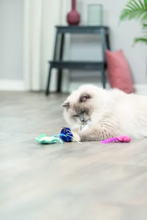Іграшка Trixie Морські звірі плюш з котячою м'ятою для котів 5–8 см — Фото 5