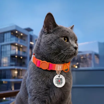 Нашийник для котів нейлоновий WAUCAT Nylon Recycled з QR адресником, градієнт, безпечна пряжка, XS, Ш 10 мм, Дов 20-30 см, помаранчевий — Фото 3