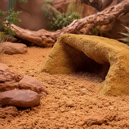 Глиняний порошок для тераріумного субстрату Hobby Terrano Clay Powder yellow 1,3 кг (33212) — Фото 7