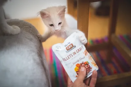 Вологий корм Brit Care Cat Pouch для котів, філе в соусі, качка, 85 г — Фото 2