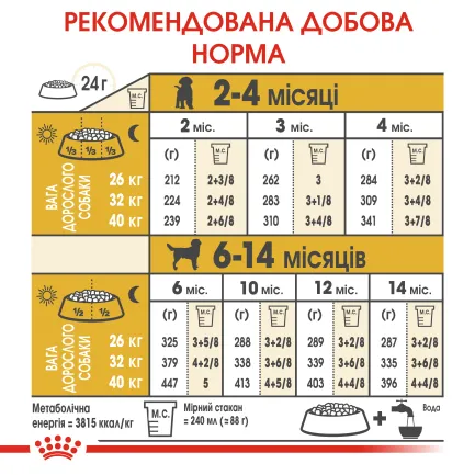 Сухий корм Royal Canin LABRADOR PUPPY для цуценят породи Лабрадор 3 кг — Фото 4