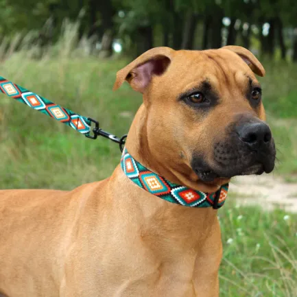 Нашийник для Собак BronzeDog Urban Нейлоновий з Пластиковою Пряжкою Ромби S — Фото 8