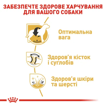 Сухий корм Royal Canin LABRADOR ADULT для дорослих собак породи Лабрадор 12 кг — Фото 2