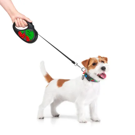Повідець-рулетка для собак WAUDOG R-leash, малюнок "Калина", S, до 15 кг, 5 м, світловідбиваюча стрічка чорний — Фото 7
