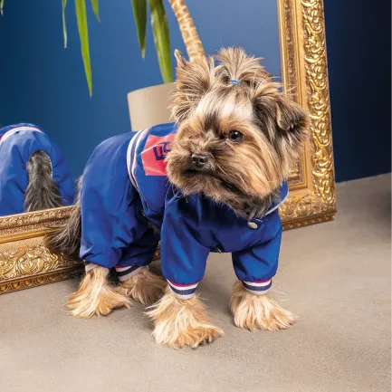 Дощовик Pet Fashion «Silver» для собак, розмір M, синій — Фото 2