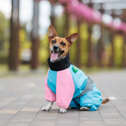 Комбінезон Pet Fashion Milly дівчинка для собак S — Фото 3