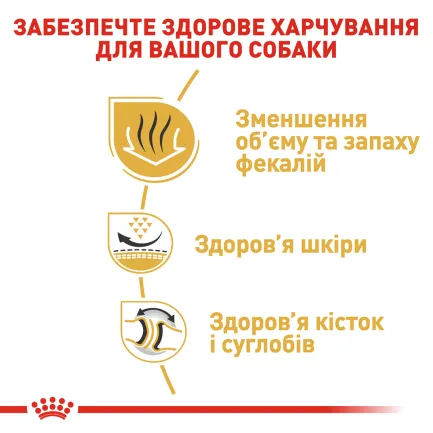 Сухий корм Royal Canin BULLDOG ADULT для дорослих собак породи Бульдог 12 кг — Фото 2
