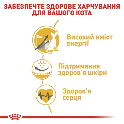 Сухий корм Royal Canin SPHYNX ADULT для котів породи Сфінкс 10 кг — Фото 3