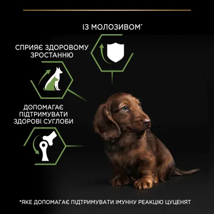 Сухий корм PRO PLAN Small &amp; Mini Puppy <1 Healthy Start для цуценят дрібних порід з куркою 3 кг — Фото 6